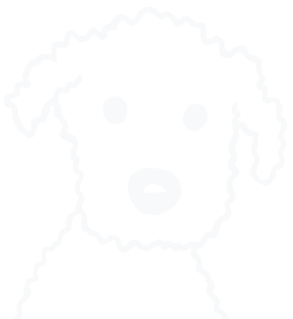 Contemporary Canines